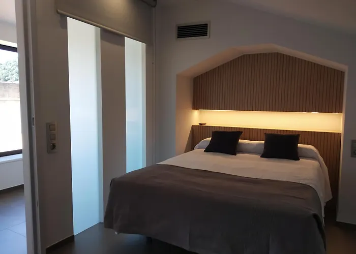 Hotel Olot Centre